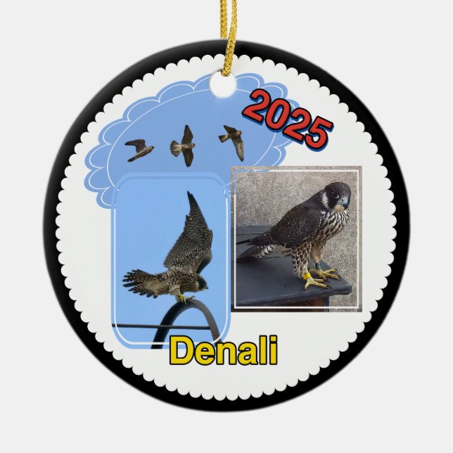 2025 Ceramic Circle Ornament Denali (Front)