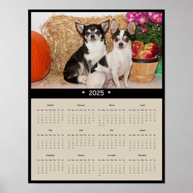 2025 Chihuahua Wall Calendar Poster (Front)