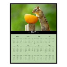 2025 Chipmunk Wall Calendar Poster