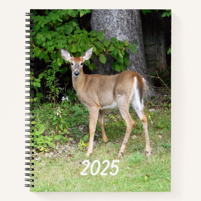 2025 Deer Notebook (Front)