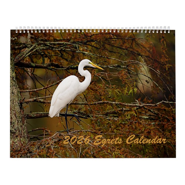 2025 Egrets Calendar (Cover)