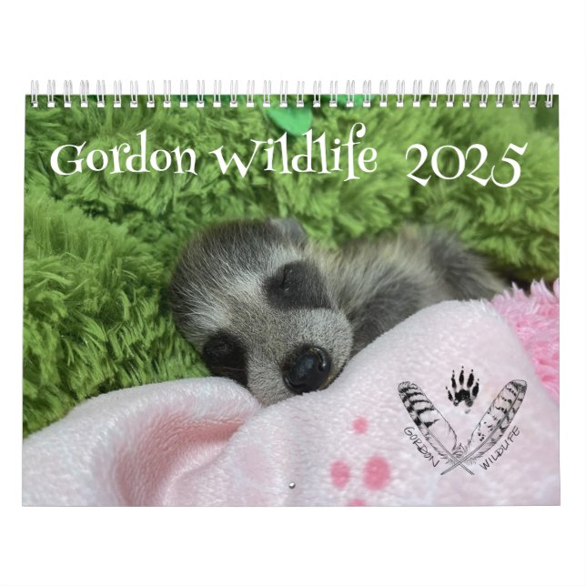 2025 Gordon Wildlife Raccoon Calendar (Cover)
