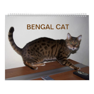 2025 Gorgeous Bengal Cats  Calendar