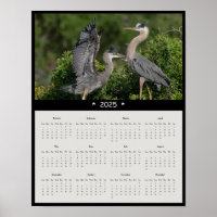 2025 Great Blue Heron Wall Calendar Poster