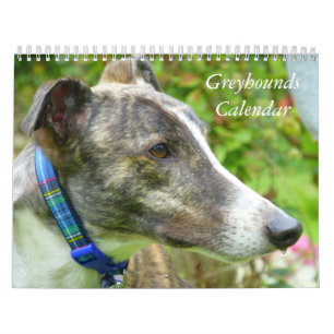 2025 Greyhound calendar