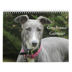 2025 Greyhound calendar
