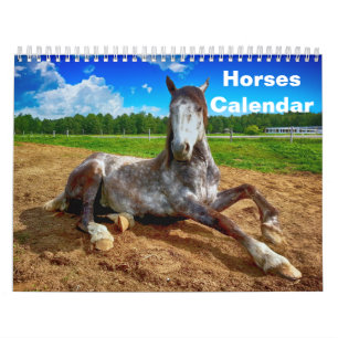 2025 Horse Calendar