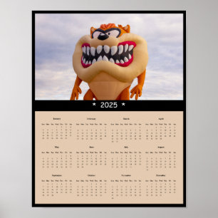 2025 Hot Air Balloon Wall Calendar Poster