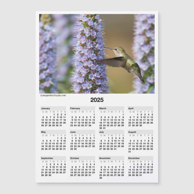 2025 Hummingbird 5x7" Magnetic Mini Calendar (Front)