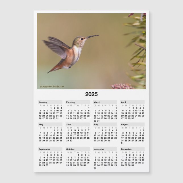 2025 Hummingbird 5x7" Magnetic Mini Calendar (Front)