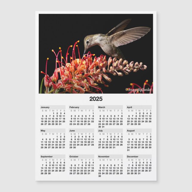 2025 Hummingbird 5x7" Magnetic Mini Calendar (Front)