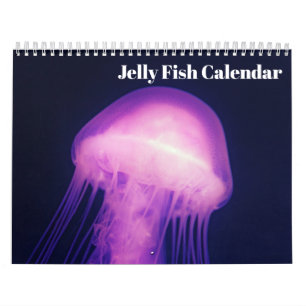 2025 Jellyfish Calendar