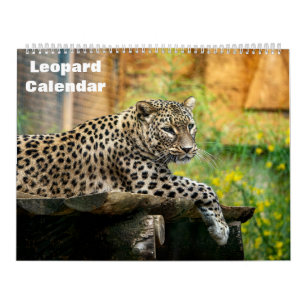 2025 Leopard Calendar