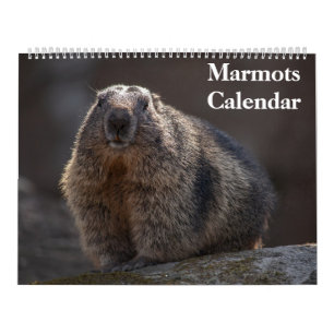2025 Marmots Calendar