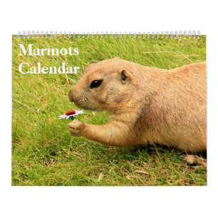 2025 Marmots Calendar