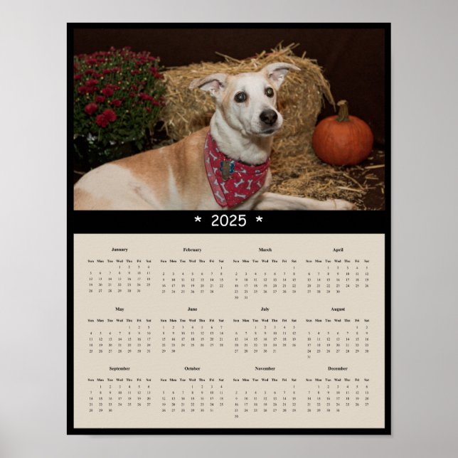 2025 Mixed Breed Dog Wall Calendar Poster (Front)