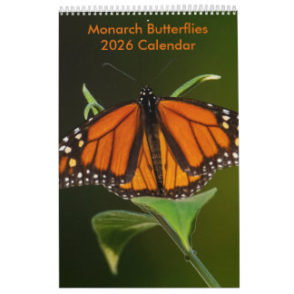 2025 Monarch Butterflies One Page Calendar
