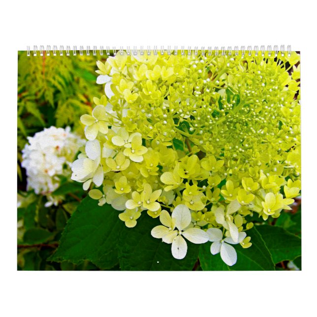 2025 My Rubio Garden Elegant Hydrangeas Calendar (Cover)
