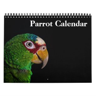 2025 Parrot Calendar