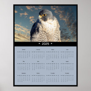 2025 Peregrine Falcon Calendar Poster