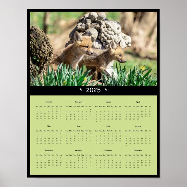 2025 Red Fox Kits Wall Calendar Poster (Front)