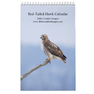 2025 Red-Tailed Hawk Calendar