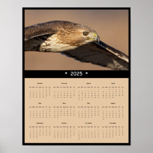 2025 Red Tailed Hawk Wall Calendar Poster