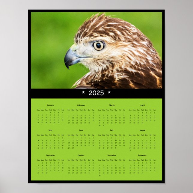 2025 Red-Tailed Hawk Wall Calendar Poster (Front)