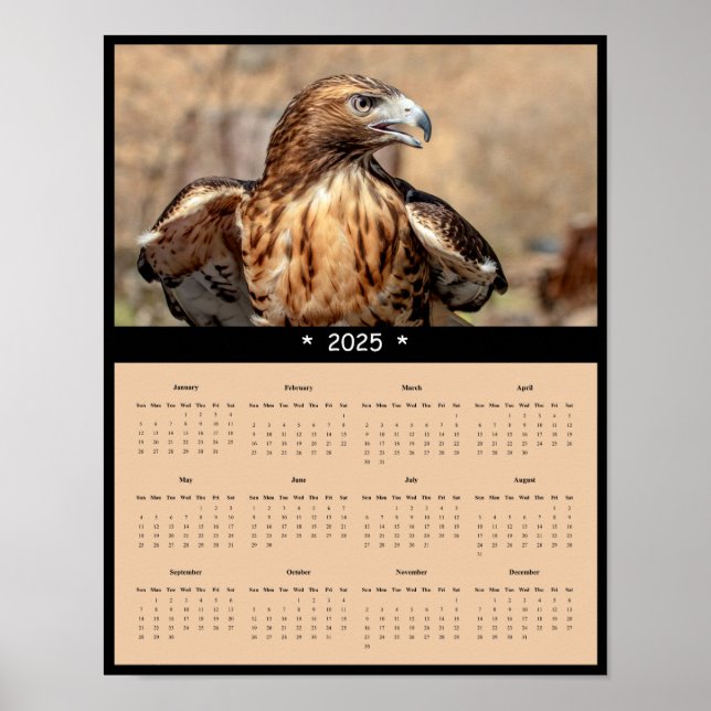 2025 Red-Tailed Hawk Wall Calendar Poster (Front)