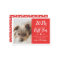 2025 Ruff Year Red Funny Dog Photo