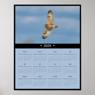 2025 Short-Eared Owl Wall Calendar Poster