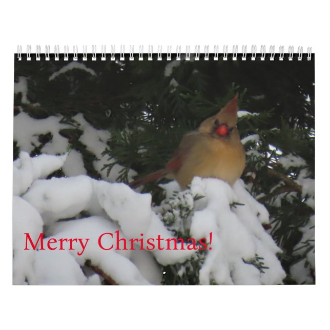 2025 Sunset Calendar (Cover)