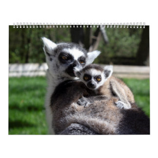 2025 Sweet Ring-tailed Lemurs Calendar