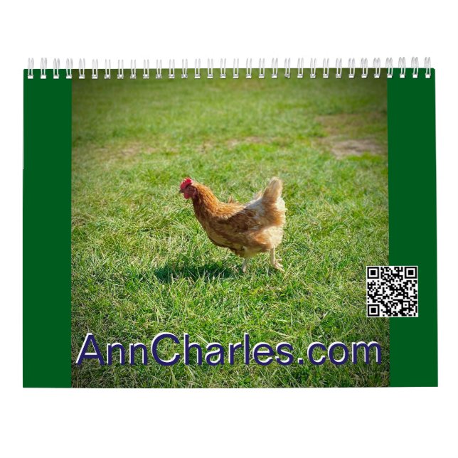 2025 Travelling with Ann Charles wall calendar (Back)