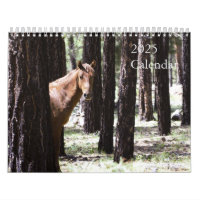 2025 Wild Horses Calendar To Support Twin Arrows