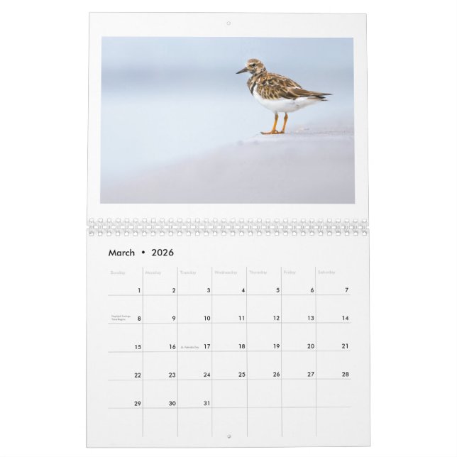 2025 Wildlife Photo Calendar (Mar 2026)