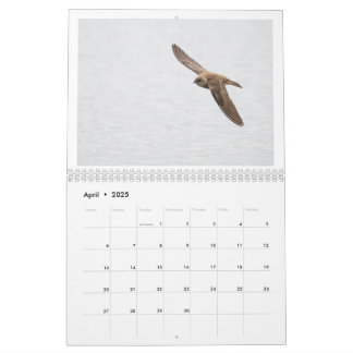 2025 Wildlife Photo Calendar