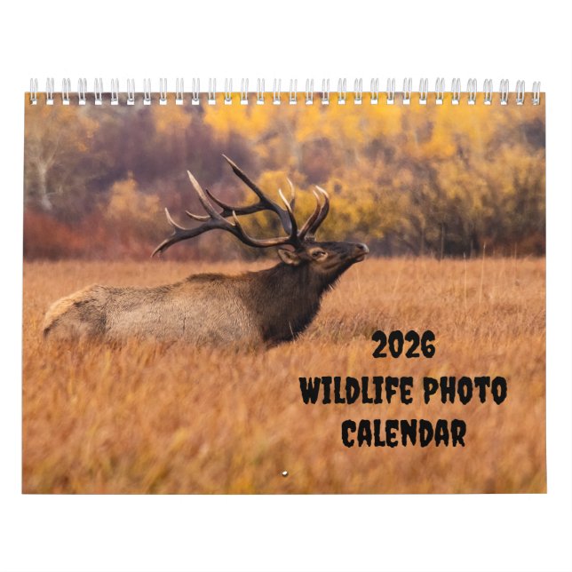 2025 Wildlife Photo Two Page Medium Calendar (Cover)