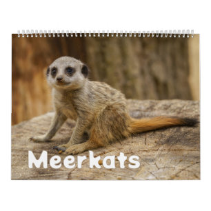 2026 A Year with Meerkats Calendar