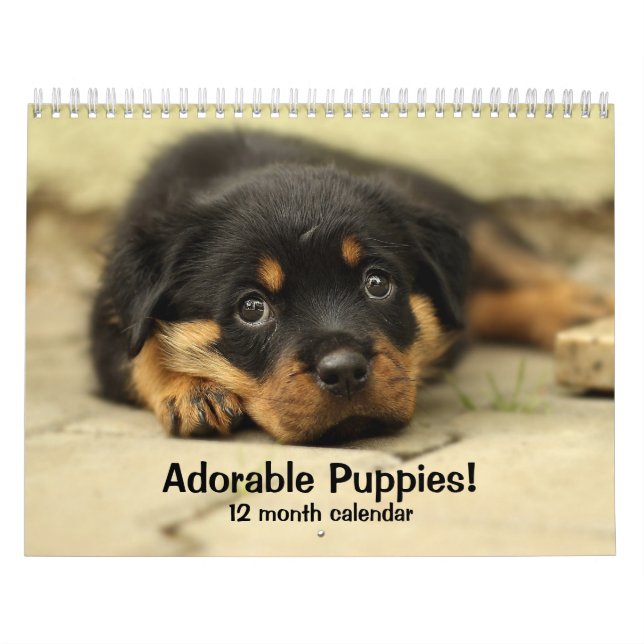 2026 Adorable Puppies Twelve Month Dog Calendar (Cover)