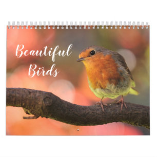 2026 Beautiful Birds Calendar