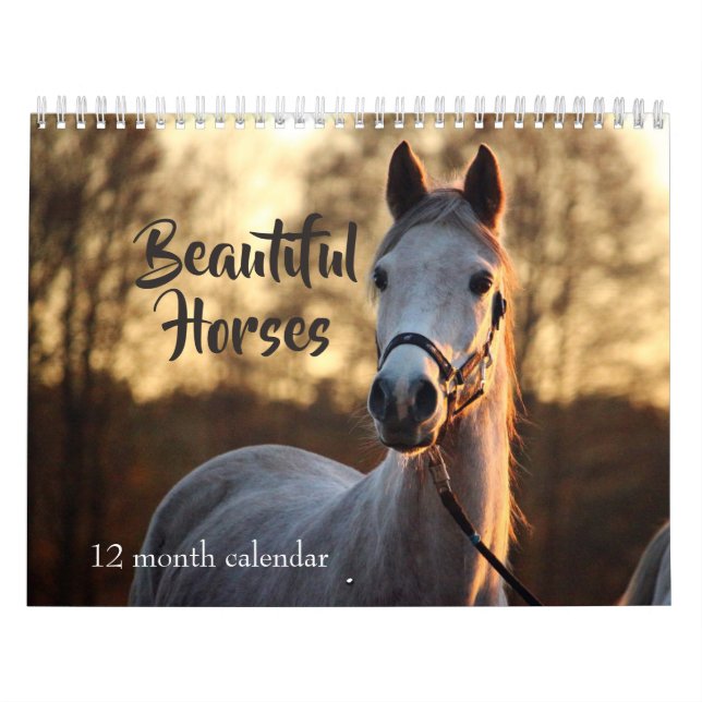 2026 Beautiful Horses Calendar (Cover)