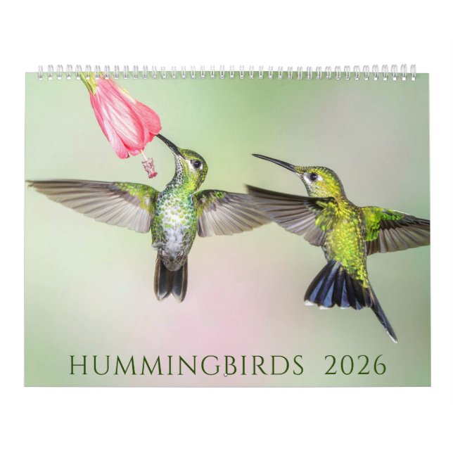 2026 Beautiful Hummingbird Photos Calendar (Cover)