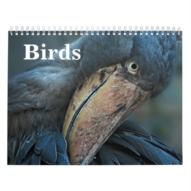 2026 Birds Calendar (Cover)