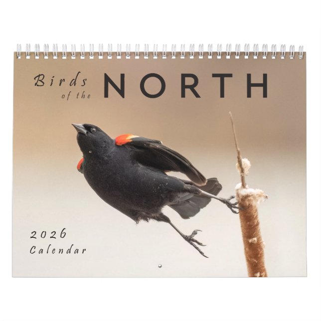 2026 Birds of the North: Great Lakes Calendar (Cover)