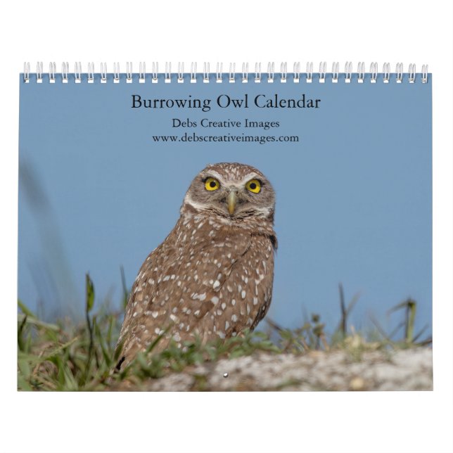 2026 Burrowing Owl Calendar (Cover)