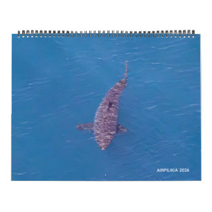 2026 Calendar Airpilikia