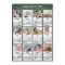2026 Calendar Family 12 Photo Sage Green Magnetic