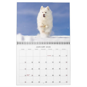 2026 Coconut Rice Bear Calendar