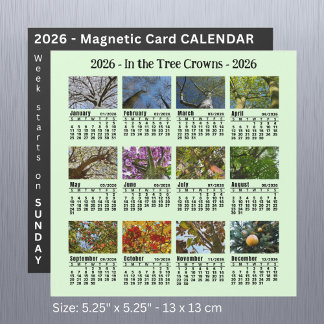 2026 Custom Photo Tree Calendar Sunday start